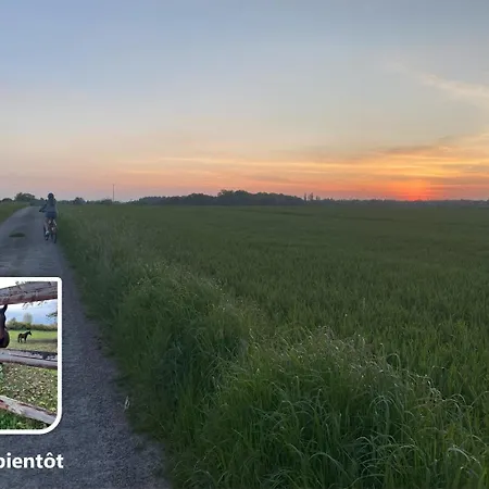 Longere Normande Les Glacieres - 9 Pers - Entre Et Campagne Holiday home *